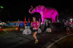 BIB: 
                            <button type="button" onclick="openModal(26552072)" class="btn btn-primary btn-sm float-right btn-popup" data-toggle="modal" data-target=".modal-high-quality">
                        <i class="fas fa-shopping-cart"></i> Add to Cart
                    </button>
                                            <button type="button" onclick="isThisMe(26552072, true)" class="btn btn-success btn-sm float-right btn-popup btn-isme hidden" data-toggle="tooltip" data-placement="bottom" title="นี่คือรูปของคุณใช่ไหม คลิกที่นี่เพื่อเอาเข้าอัลบั้ม">
                        <i class="fas fa-plus"></i> Add to album
                    </button>
                    <button type="button" onclick="isThisMe(26552072, false)" class="btn btn-warning btn-sm float-right btn-popup btn-isnotme hidden">
                        <i class="fas fa-ban"></i> Remove from album
                    </button>